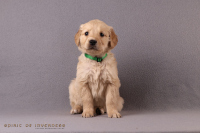 1o. November 2o25 | 42. Tag | 7. Woche