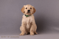 17. November 2o25 | 49. Tag | 8. Woche