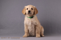 24. November 2o25 | 56. Tag | 9. Woche