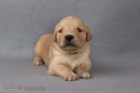 2o. Oktober 2o25 | 22. Tag | 4. Woche