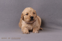 27. Oktober 2o25 | 29. Tag | 5. Woche