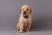 o3. November 2o25 | 36. Tag | 6. Woche