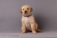 1o. November 2o25 | 42. Tag | 7. Woche