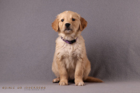 17. November 2o25 | 49. Tag | 8. Woche