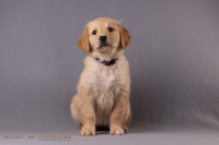 24. November 2o25 | 56. Tag | 9. Woche