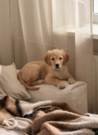 «Leni» Mitte Dezember 2o25 mit fast 13 Wochen