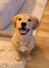 «Leni» Mitte Januar 2o26 mit 4 Monaten