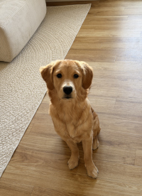 «Leni» Anfang April 2o26 mit ½ Jahr