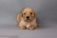 2o. Oktober 2o25 | 22. Tag | 4. Woche