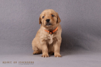 27. Oktober 2o25 | 29. Tag | 5. Woche