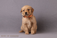 o3. November 2o25 | 36. Tag | 6. Woche