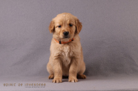 1o. November 2o25 | 42. Tag | 7. Woche