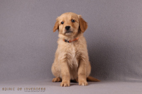 17. November 2o25 | 49. Tag | 8. Woche