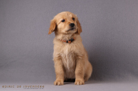 24. November 2o25 | 56. Tag | 9. Woche