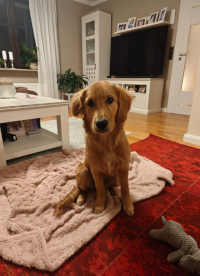 «Gretel» im März 2o26 mit 5 ½ Monaten