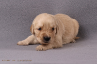 2o. Oktober 2o25 | 22. Tag | 4. Woche