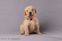 27. Oktober 2o25 | 29. Tag | 5. Woche