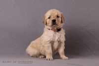 o3. November 2o25 | 36. Tag | 6. Woche