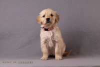 1o. November 2o25 | 42. Tag | 7. Woche