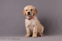 17. November 2o25 | 49. Tag | 8. Woche