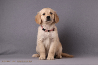 24. November 2o25 | 56. Tag | 9. Woche