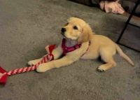 «Enya» Mitte Dezember 2o25 mit 13 Wochen