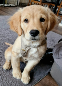 «Enya» Mitte Januar 2o26 mit 3 ½ Monaten