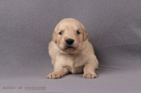 2o. Oktober 2o25 | 22. Tag | 4. Woche