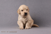 27. Oktober 2o25 | 29. Tag | 5. Woche