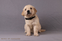 o3. November 2o25 | 36. Tag | 6. Woche