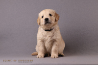 1o. November 2o25 | 42. Tag | 7. Woche