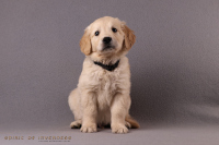 17. November 2o25 | 49. Tag | 8. Woche