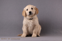 24. November 2o25 | 56. Tag | 9. Woche