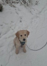 Kaine im November 2o25