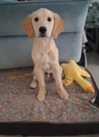 Kaine im Februar 2o26 mit 4 ½ Monaten