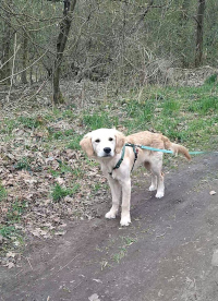 Kaine Anfang April 2o26 mit ½ Jahr