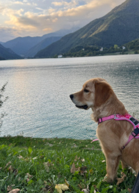 «Lumi» Ende September 2o26 mit 5 ½ Monate